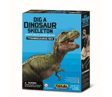 4M Dinosauří kostra - REX / od 8 let