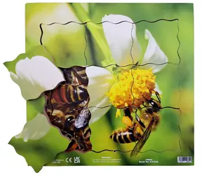 Just Jigsaws 600 Včela a její životní cyklus - dřevěné vrstvené puzzle / 19 dílů / od 3 let