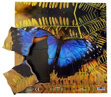 Just Jigsaws 601 Motýl a jeho životní cyklus - dřevěné vrstvené puzzle / 19 dílů / od 3 let