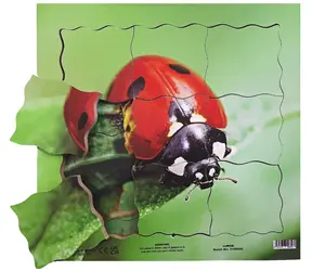 Just Jigsaws 602 Beruška a její životní cyklus - dřevěné vrstvené puzzle / 19 dílů / od 3 let