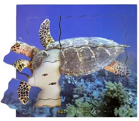 Just Jigsaws 605 Želva a její životní cyklus - dřevěné vrstvené puzzle / 19 dílů / od 3 let