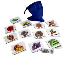 Just Jigsaws 781 Přírodniny - dřevěné pexeso / 24 dílů / od 3 let