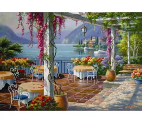 ANATOLIAN Puzzle Terasa s vistáriemi / 500 dílků / od 12 let