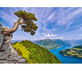 Castorland 105311-2 Puzzle Pohled na jezero Uri, Švýcarsko / 1000 dílků / od 9 let
