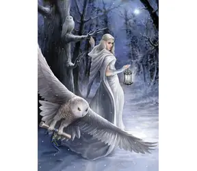 ART PUZZLE 5229 Puzzle Kolekce Anne Stokes: Půlnoční posel / 1000 dílků / od 15 let