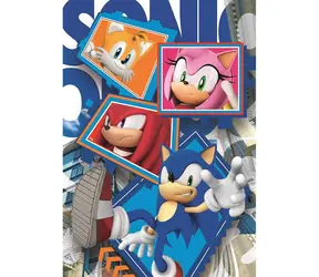 Clementoni 25038 Puzzle Ježek Sonic: Parťáci 104 dílků / od 6 let