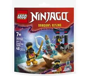 LEGO® NINJAGO® 30700 Souboj: Arin vs. dračí stvoření / Počet dílků: 48 / od 7 let
