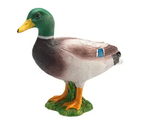 Mojo Kachna divoká kačer / od 3 let