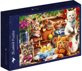 BLUEBIRD Puzzle Koťata v kůlně / 3000 dílků / od 14 let