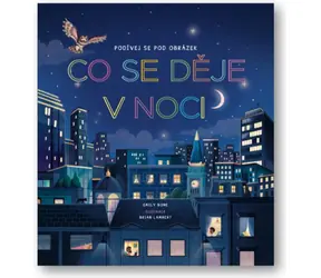 Svojtka & Co. Podívej se pod obrázek - Co se děje v noci / od 3 let