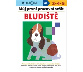 Svojtka & Co. Můj první pracovní sešit Bludiště / od 3 let