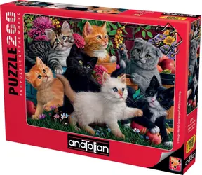 ANATOLIAN Puzzle Rozverná koťátka / 260 dílků / od 8 let