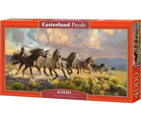 Castorland 400430 Puzzle Hřmící prérie / 4000 dílků / od 9 let