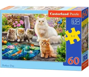 Castorland 066377 Puzzle Perfektní den / 60 dílků / od 5 let