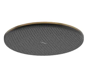 Hansgrohe Raindance Alive S - Hlavová sprcha | průměr 30 cm | EcoSmart | kartáčovaný bronz 