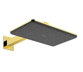 Hansgrohe Raindance Alive Q - Hlavová sprcha | 21x34 cm | 2 proudy | EcoSmart | leštěný vzhled zlata 