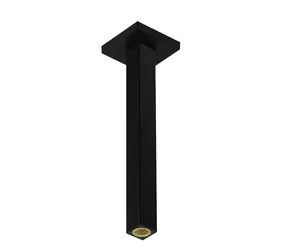 Hansgrohe Příslušenství - Sprchové rameno stropní | 31 cm | matná černá 