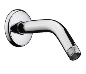 Hansgrohe Aktiva - Sprchové rameno 13 cm | chrom 
