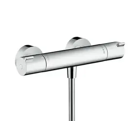 Hansgrohe Ecostat - Termostatická sprchová baterie 1001 CL chrom 