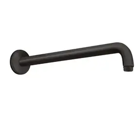 Hansgrohe Aktiva - Sprchové rameno 39 cm | matná černá