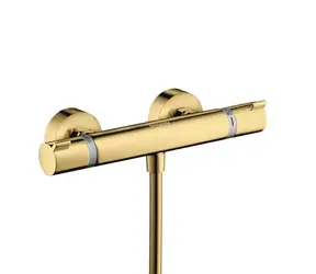 Hansgrohe Ecostat Comfort - Termostatická sprchová baterie | zlatá