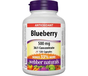 Webber Naturals Blueberry 500 mg 120 cps