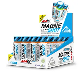 Amix Performance MagneShot Forte 375 mg 20 x 60 ml mango