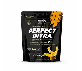 Amix Black Line Perfect Intra pineapple mango 870 g
