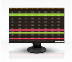 24" EIZO EV2456-BK / 1920 x 1200 / IPS / 16:10 / 1000:1 / 350 cd/m2 / 5ms / DP / HDMI / DVI /Dsub / úzký rám / černá