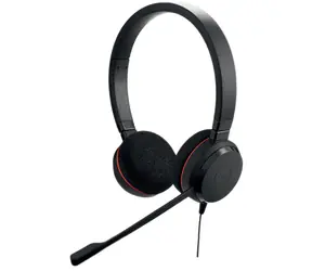 Jabra Evolve 20 černá / Pro callcentra / Stereo / USB-C / MS