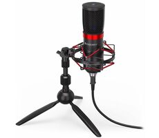 Endorfy Solum Streaming T černá / mikrofon  / USB / 1.8m