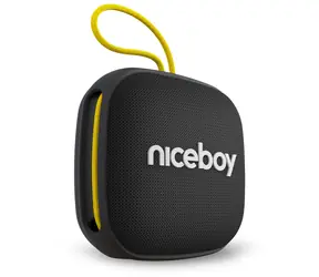 Niceboy RAZE Mini 4 černá / Přenosný Bluetooth reproduktor / BT / IPX5 / 800mAh