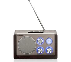 ROADSTAR HRA-1345NUS/WD stříbrná / Radio / FM / DAB+ / RDS / 3.5mm 