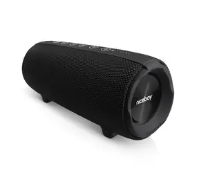 Niceboy Titan 4 černá / Přenosný bluetooth reproduktor / 50 W / 3.5 mm jack / USB / microSD / BT 5.3