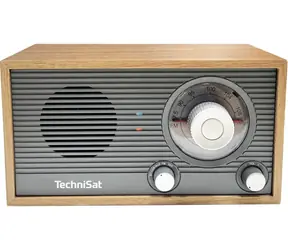 TechniSat CLASSIC 205 gray/golden oak