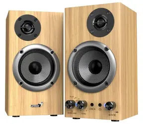 GENIUS SP-HF520BT Pine Wood / repro  / 2.0  / 20W / Bluetooth 5.3 / 1x 3.5mm / Dřevěné