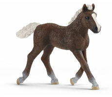 Schleich Farm World 13899 Schwarzwaldský kůň hříbě / od 3 let