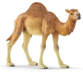 Schleich Wild Life 14832 Dromedár / od 3 let