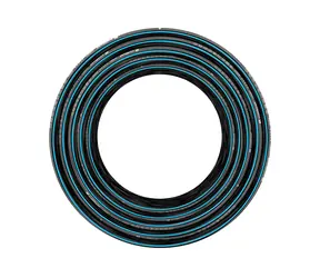 CELLFAST 16-295 Hobby Zahradní hadice (1/2") - Délka 60 m
