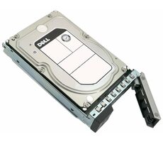 DELL disk 4TB / HDD / 3.5" / SATA 6Gbps / 7200 rpm / Hot Plug / Pro vybrané servery PowerEdge