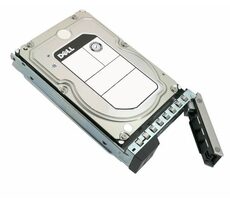 DELL server 4TB (161-BBPH) / 3.5" / SAS / 7200 rpm / HotPlug