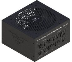PREYON  EAGLE POWER GOLD 1000W / ATX / 1000W / 80 Plus Gold / 120 mm / Modulární