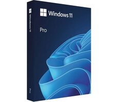 MS Windows 11  Professional FPP 64-bit Eng Intl / Operační systém / USB disk pro 64-bit / angličtina