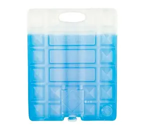 CAMPINGAZ FREEZ PACK M30 / chladicí vložka / 20x25.5cm / 1200g