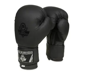DBX BUSHIDO B-2v12 Boxerské rukavice
