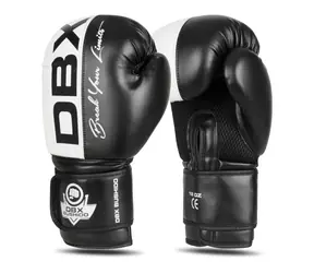 DBX BUSHIDO B-2v20 Boxerské rukavice