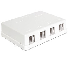 Delock Keystone Box 4-portový / na stěnu