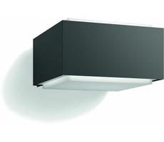 Philips Hedgehog 42W antracit / venkovní svítidlo / E27 / IP44 / bez zdroje