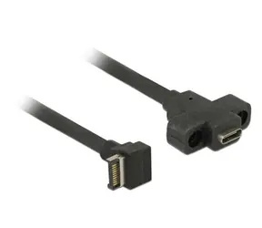 Delock kabel s montáží na panel USB 3.1 Gen 2 key A 20 pin samec > USB 3.1 Gen 2 USB Type-C samice 45 cm
