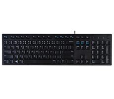 DELL KB216 CZ/SK černá / Klávesnice / membránová / CZ/SK layout / USB / 1.8 m
